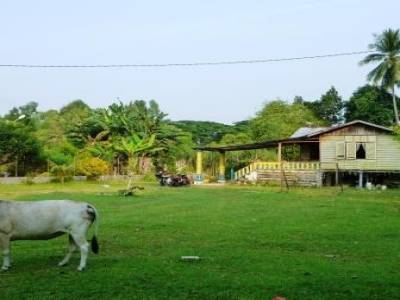 Les Kampungs malaisiens, des villages traditionnels malaisiens