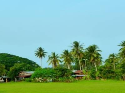 Kampung, village traditionnel malais. 