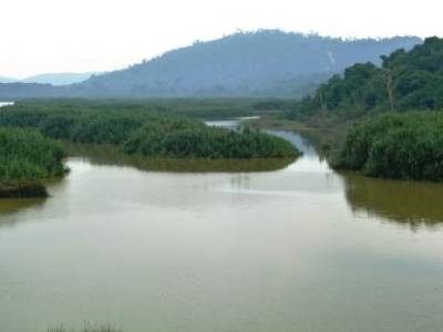 Le Tasik Chini, sur ces rives vivent quelques familles Orang Asli, les "indigènes" de Malaisie