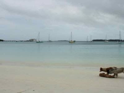 Ile des Pins