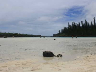 ile des pins piscine naturelle