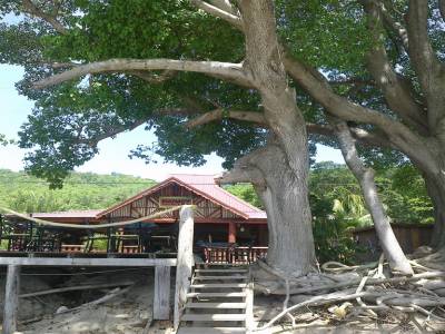 Bequia - mango tree bar