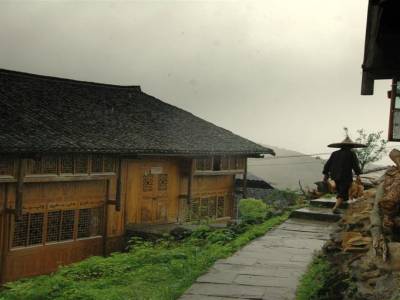 Rizières en Terrasse de Ping'an