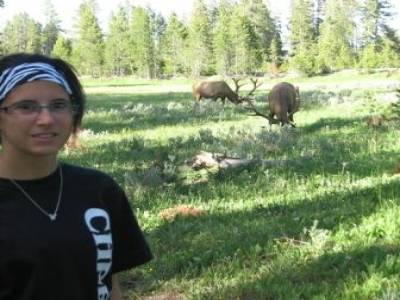 des ELK