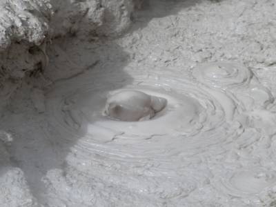 Wai-O-Tapu Park