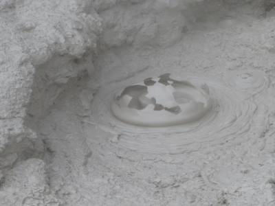 Wai-O-Tapu Park