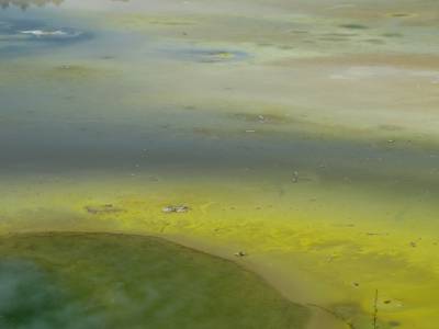 Wai-O-Tapu Park