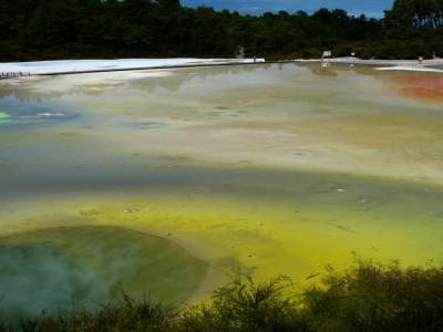 Wai-O-Tapu Park