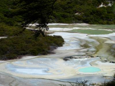 Wai-O-Tapu Park