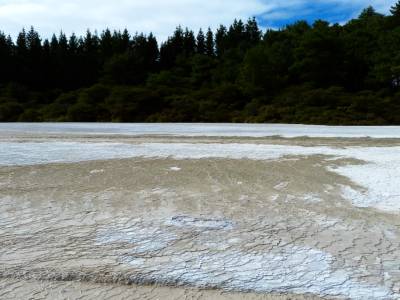 Wai-O-Tapu Park