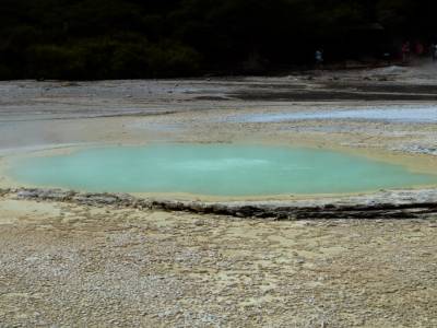 Wai-O-Tapu Park