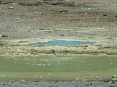 Wai-O-Tapu Park