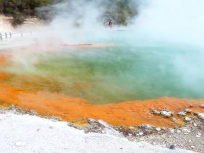 Wai-O-Tapu Park