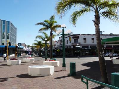 Napier
