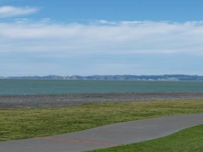 Napier