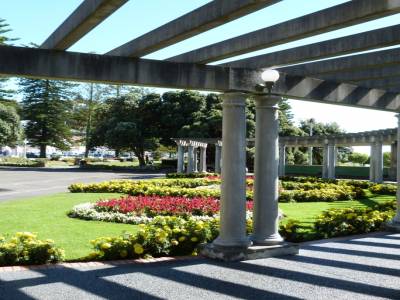 Napier
