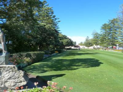 Napier