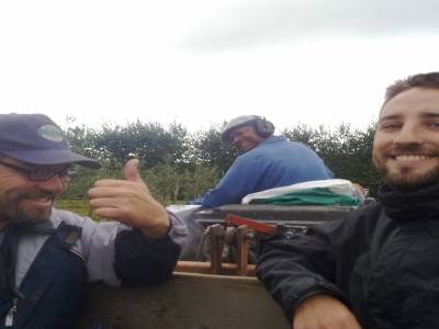 Picking apples