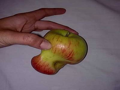 Picking apples