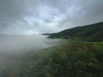 Rice Terraces Ping'an