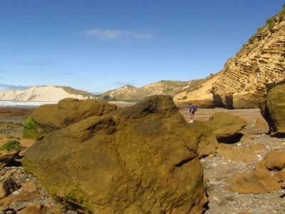 Cape Kidnappers