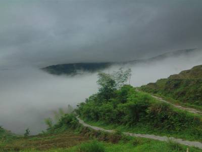 Rice Terraces Ping'an