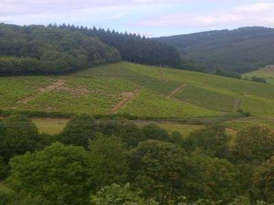 Vue Ardillat suite