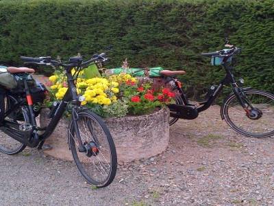 Retraite possible de nos vélos