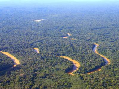 La forêt amazonienne