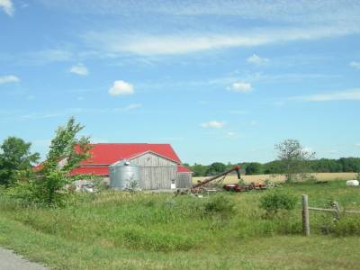 la cambrousse ontarienne: on y fait du lait....