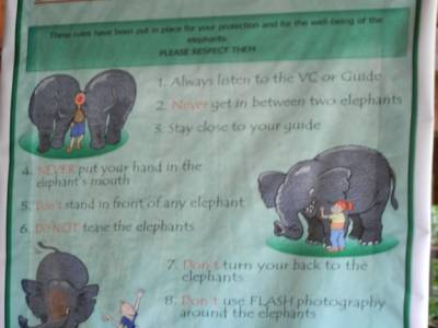 Elephant rules