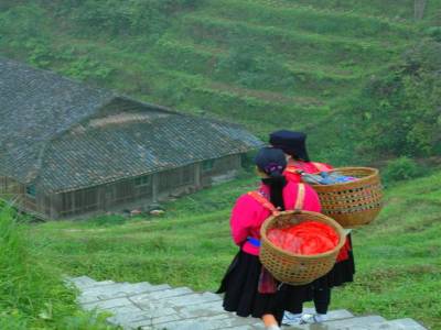 Rice Terraces Ping'an