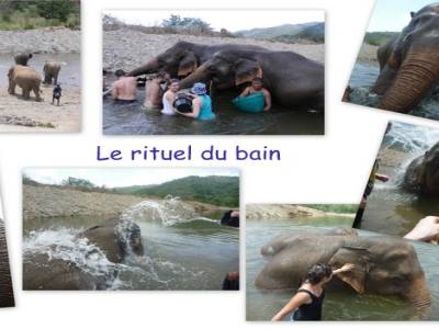 Le bain !