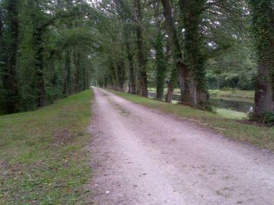 Une allee le long de la voie verte