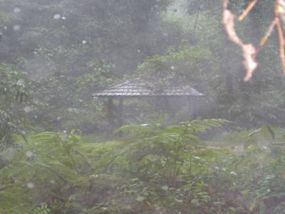 pluie, tres grosse pluie malaisienne