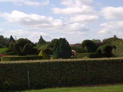Jardin super taillé