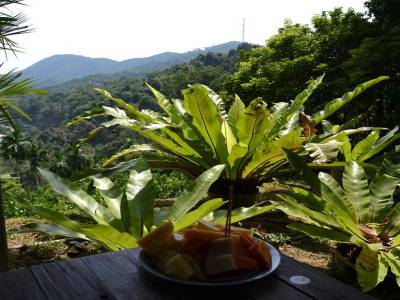Salade de fruits