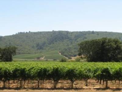 Napa Valley
