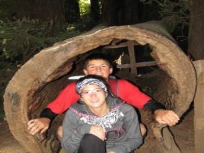 Muir Forest