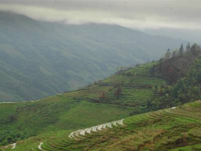 Rice Terraces Ping'an
