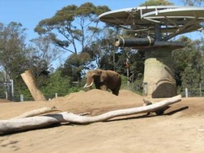 Zoo de San Diego