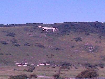 Vue cheval sur montagne