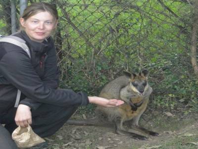 Lone Pine Koala Sanctuary