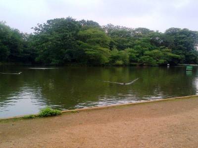 Vue d'un park de Londres