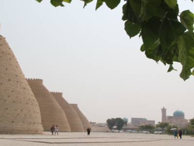 La citadelle (Ark)