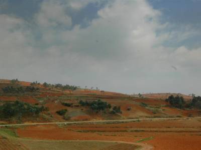 Paysage depuis le train