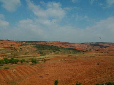 Paysage depuis le train