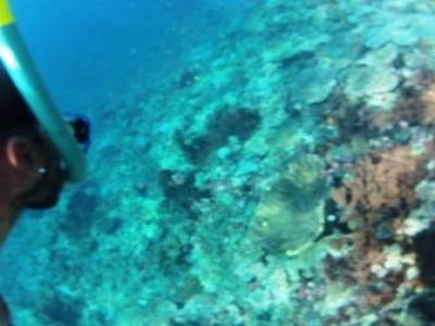 En plongée snorkeling