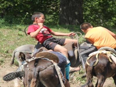 Match .. pour une peau de mouton en bord de piste.