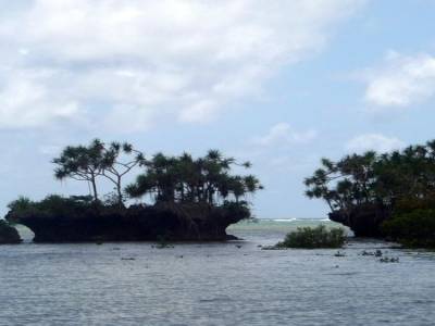 Le Grand Sud